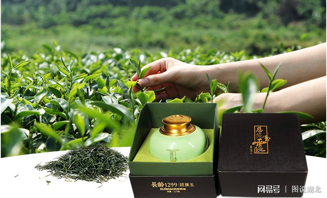 恩施绿茶富硒茶