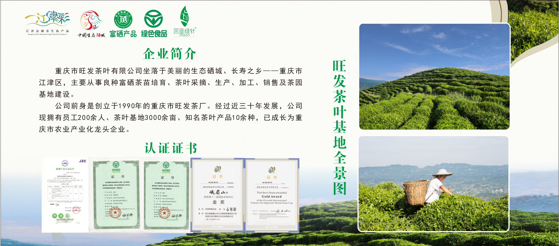 黄山富硒茶价格