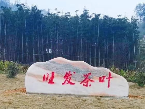 黄山富硒茶价格