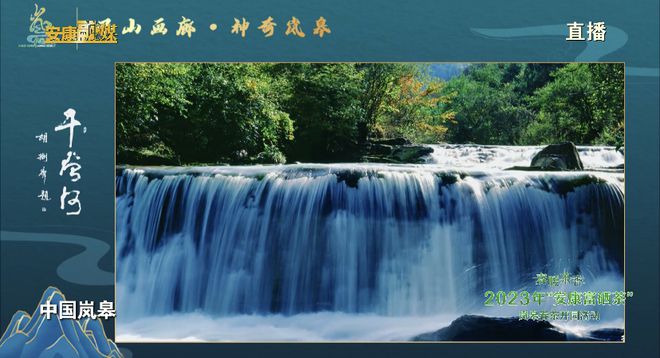 永州富硒有机茶