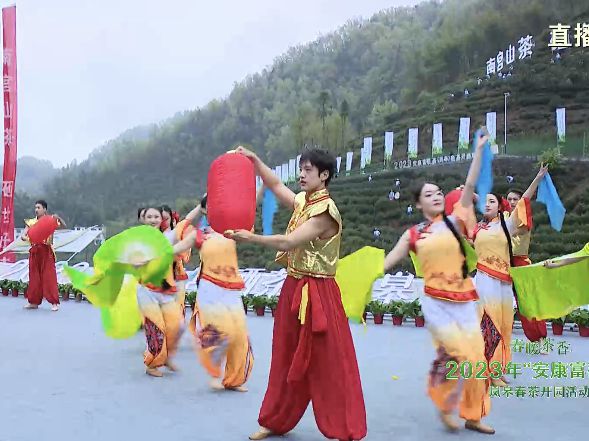 永州富硒有机茶