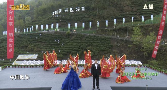 永州富硒有机茶