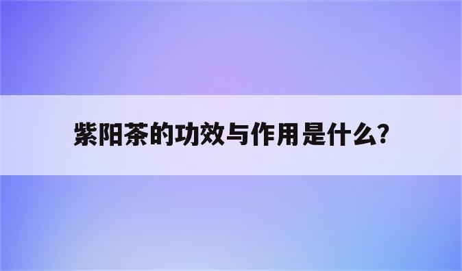 紫阳茶的功效与作用是什么？