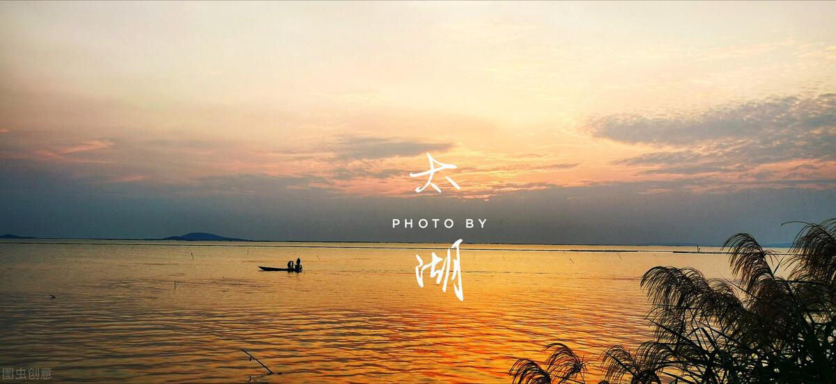 台湾富硒茶批发