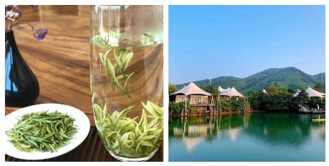 富硒茶啤酒河南
