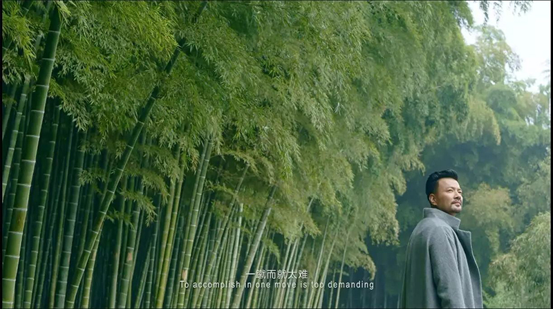 紫阳富硒茶本心