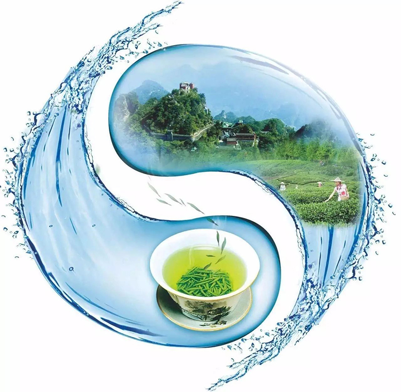 紫阳富硒茶本心