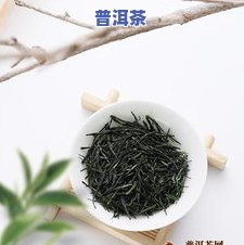 恩施富硒茶十大功效，探秘恩施富硒茶：揭示其十大神奇功效