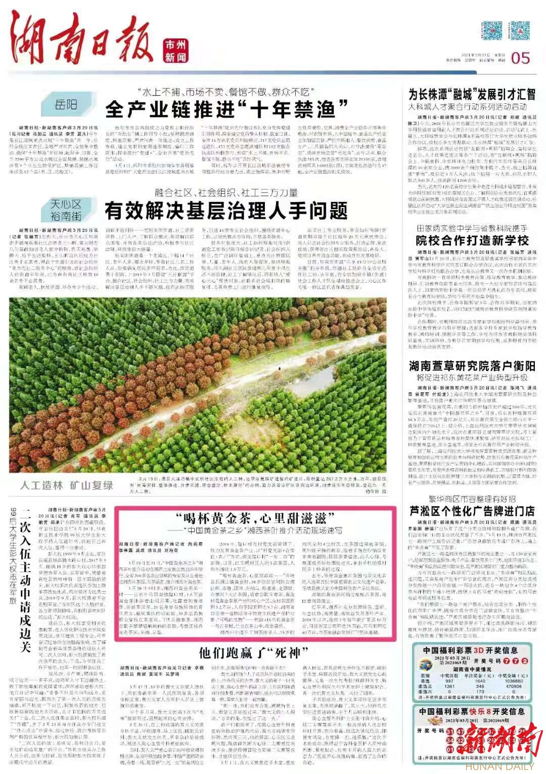 保靖黄金富硒茶