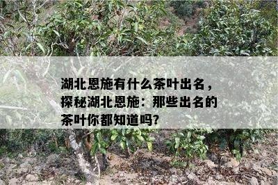 湖北恩施有什么茶叶出名，探秘湖北恩施：那些出名的茶叶你都知道吗？