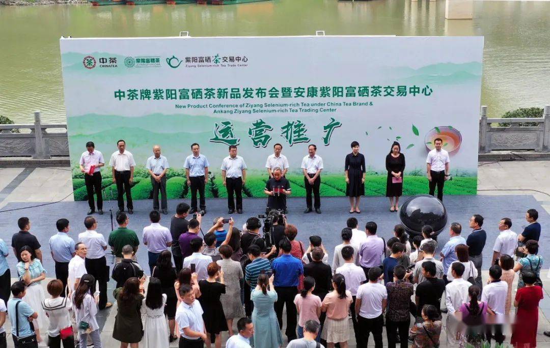 紫阳富硒茶代理