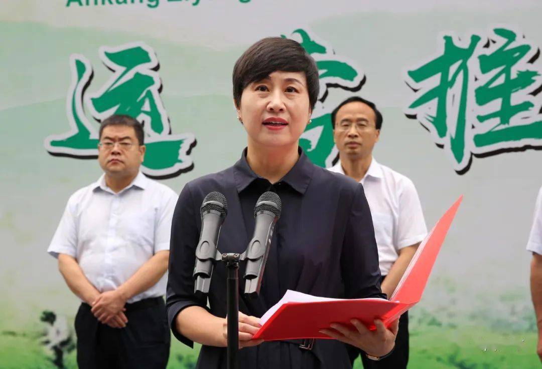 紫阳富硒茶代理