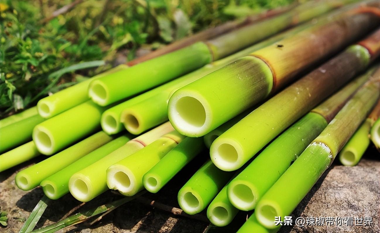 石台富硒茶味道