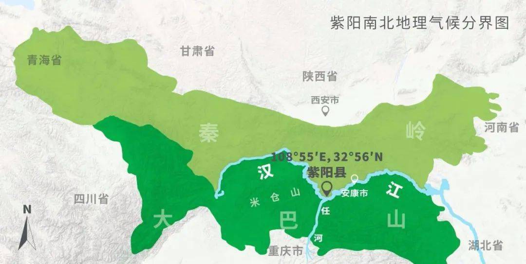 紫阳富硒茶来源(紫阳富硒茶的价位)-硒宝网