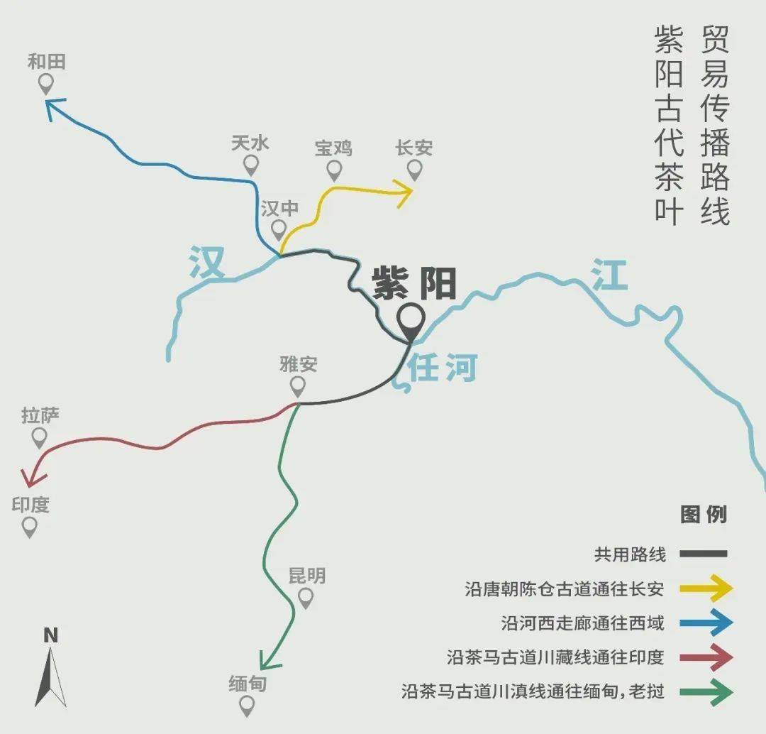 紫阳富硒茶来源(紫阳富硒茶的价位)-硒宝网