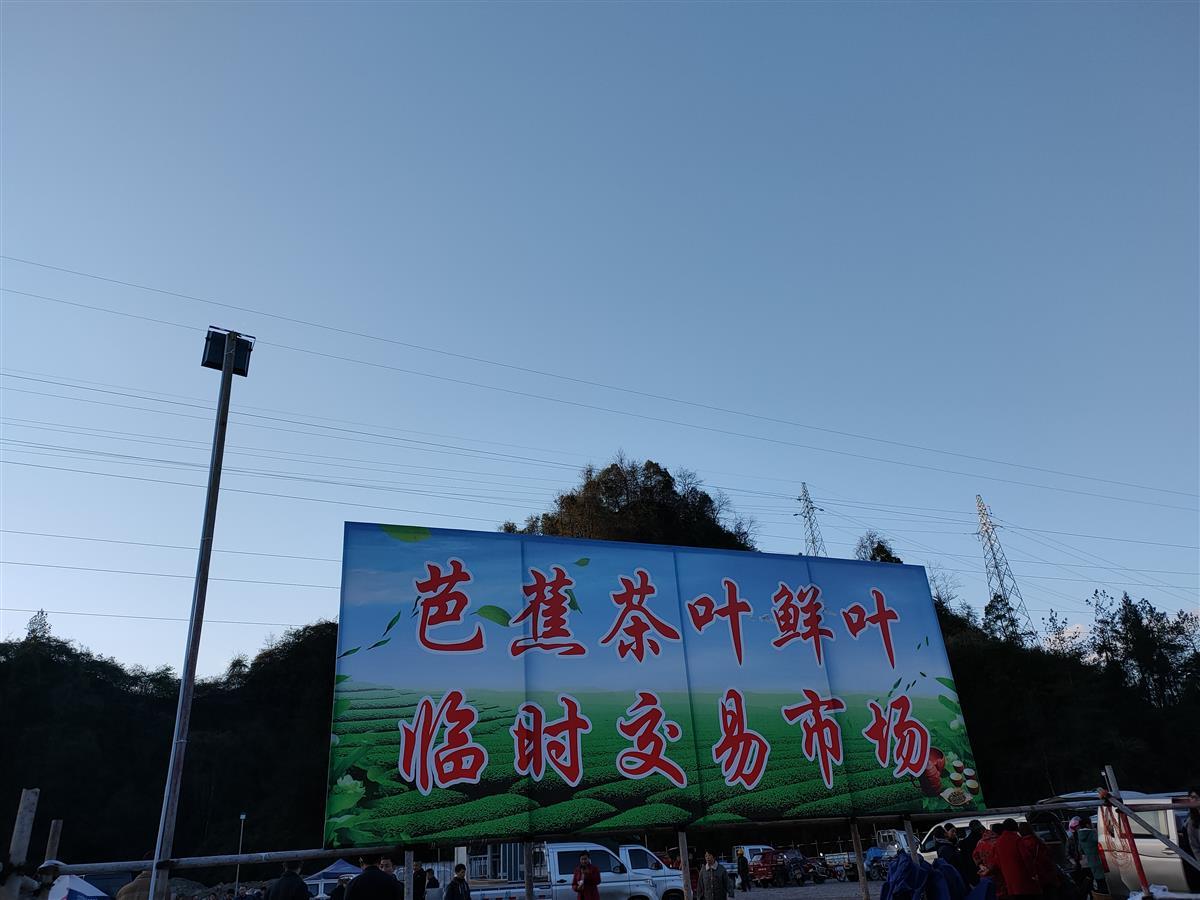 恩施富硒茶侗乡(恩施富硒茶厂电话)-硒宝网