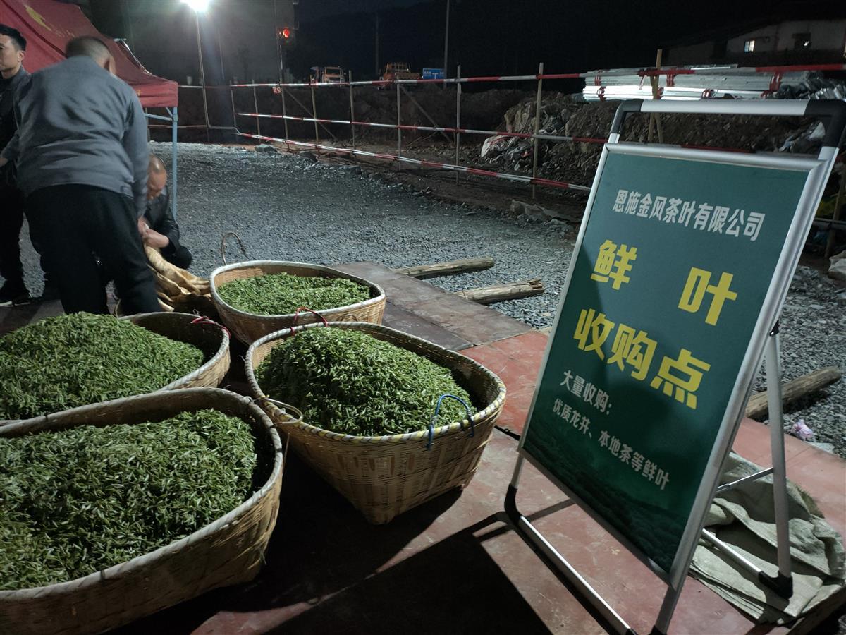 恩施富硒茶侗乡(恩施富硒茶厂电话)-硒宝网