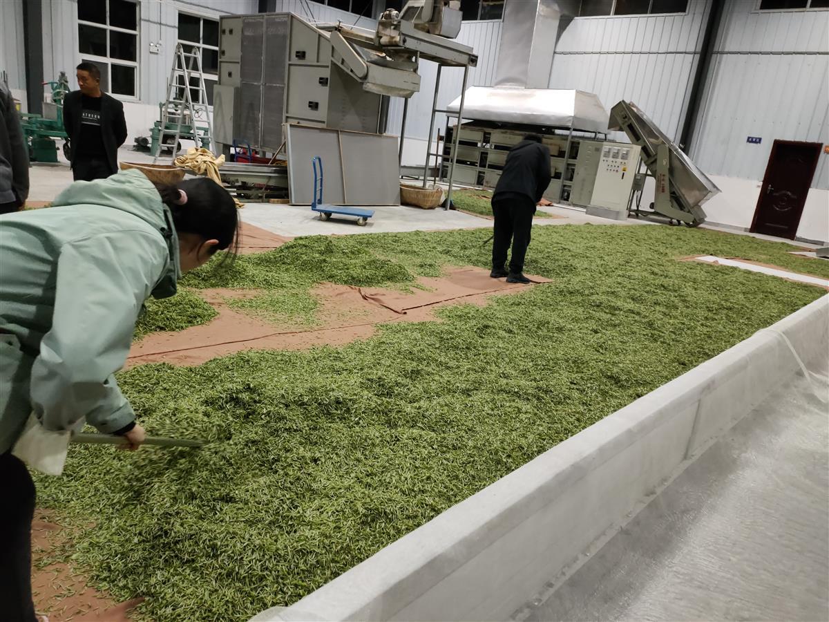 恩施富硒茶侗乡(恩施富硒茶厂电话)-硒宝网