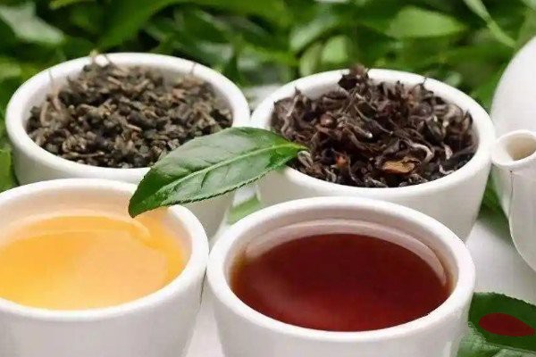 海南白沙富硒茶(海南白沙茶?。?硒宝网
