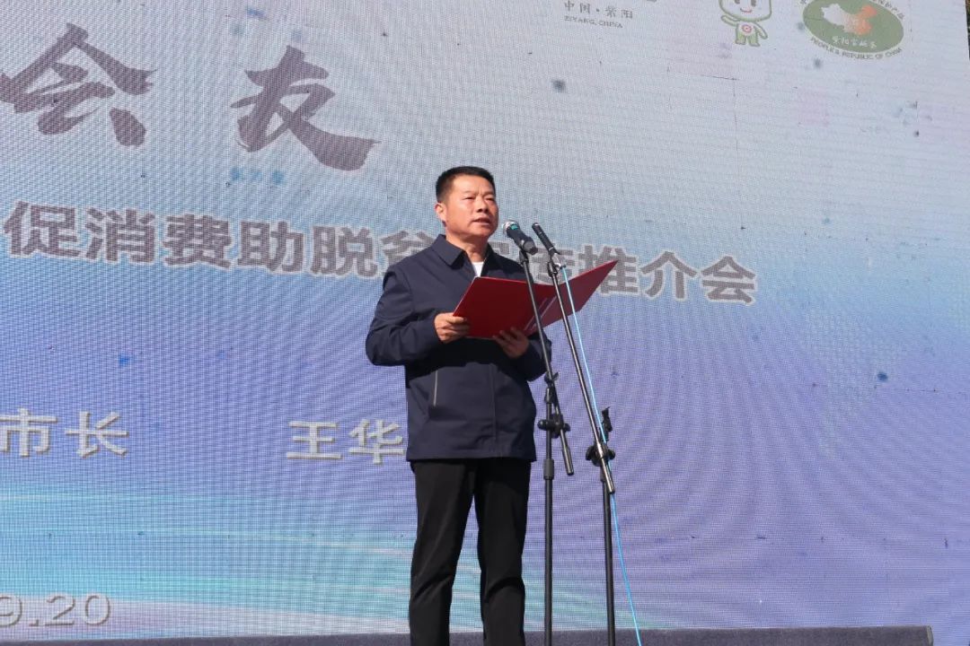 紫阳嫩芽富硒茶(富硒紫阳茶多少钱一斤)-硒宝网