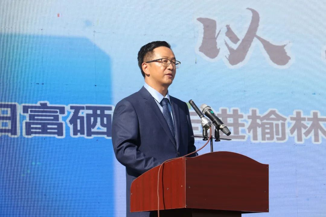 紫阳嫩芽富硒茶(富硒紫阳茶多少钱一斤)-硒宝网