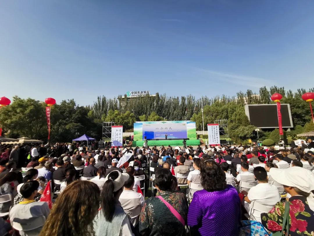 紫阳嫩芽富硒茶(富硒紫阳茶多少钱一斤)-硒宝网