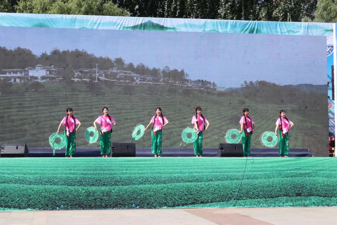 紫阳嫩芽富硒茶(富硒紫阳茶多少钱一斤)-硒宝网