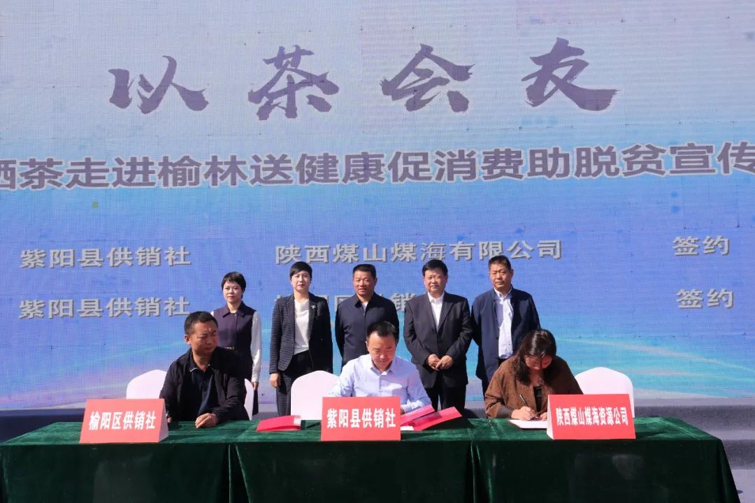 紫阳嫩芽富硒茶(富硒紫阳茶多少钱一斤)-硒宝网