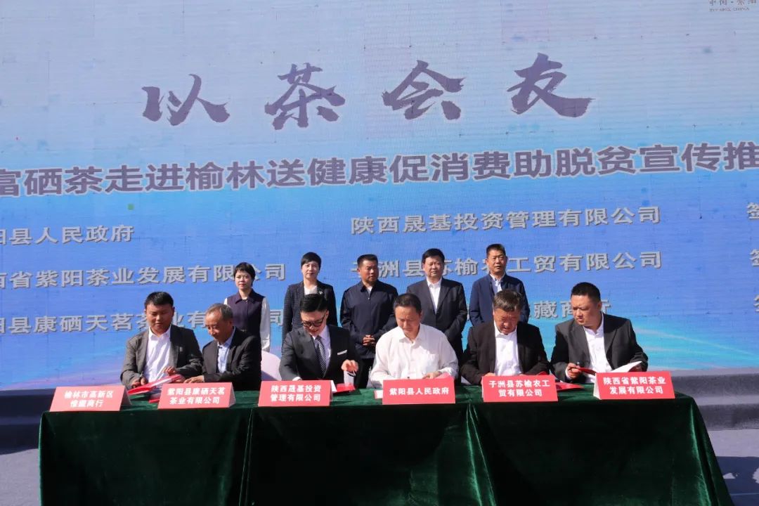 紫阳嫩芽富硒茶(富硒紫阳茶多少钱一斤)-硒宝网