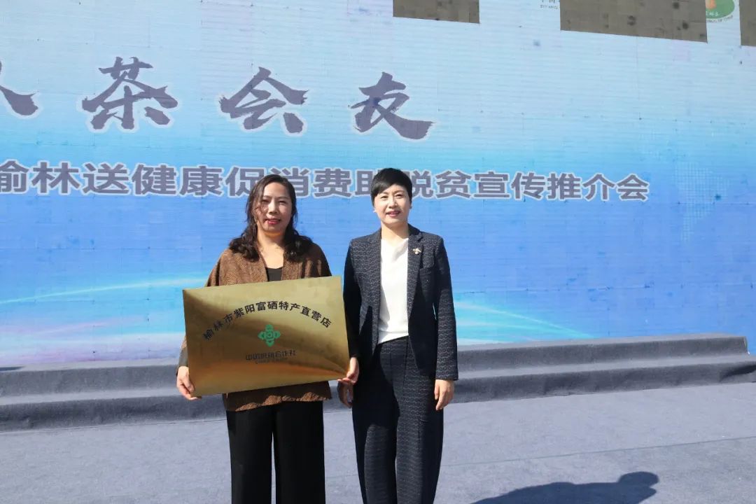 紫阳嫩芽富硒茶(富硒紫阳茶多少钱一斤)-硒宝网