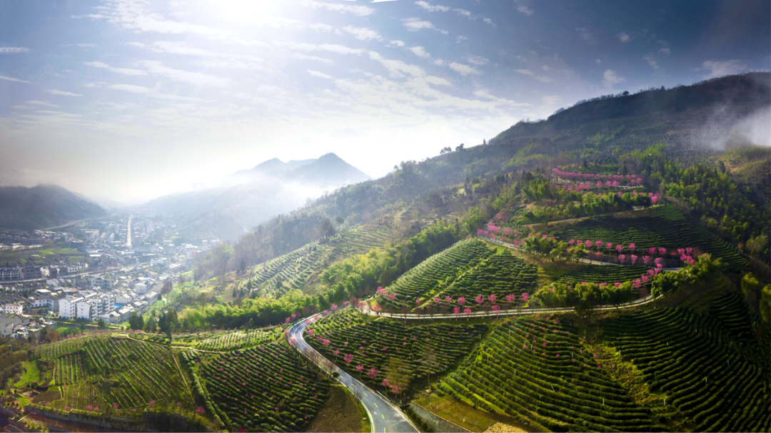 安康富硒茶之旅