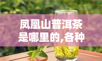 凤凰山普洱茶是哪里的,各种品种茶叶是哪里产的