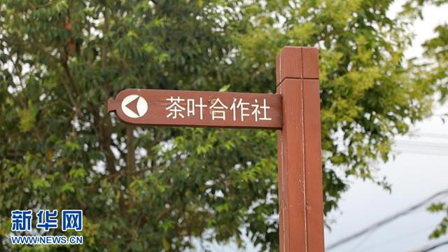 富硒茶在线农?。ǜ晃柙谙吲┏。?硒宝网