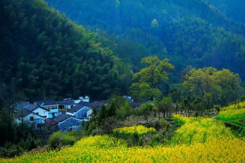 春游江淮请您来丨大山深处的“醉氧仙境”，安徽有你向往的桃源