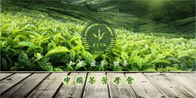 高山富硒有机茶