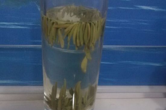 贵州省三大名茶，贵阳什么茶叶最出名？