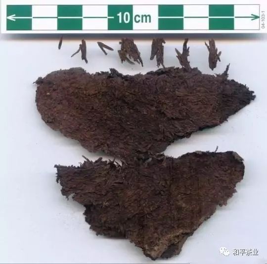 紫阳巴农富硒茶