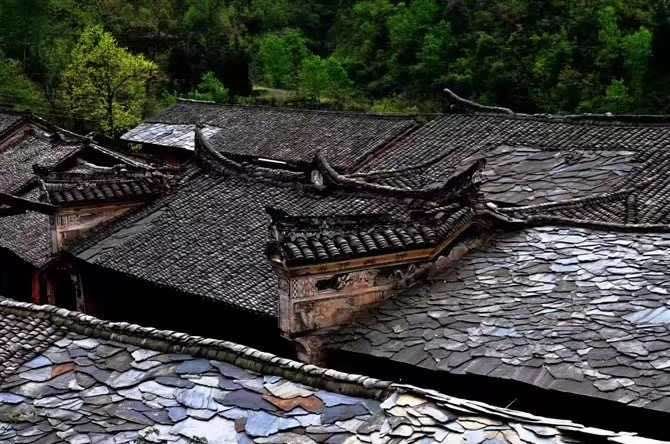 紫阳富硒茶翠锋