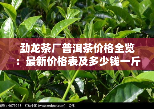 五队富硒野生茶(富硒野茶多少钱一斤)-硒宝网