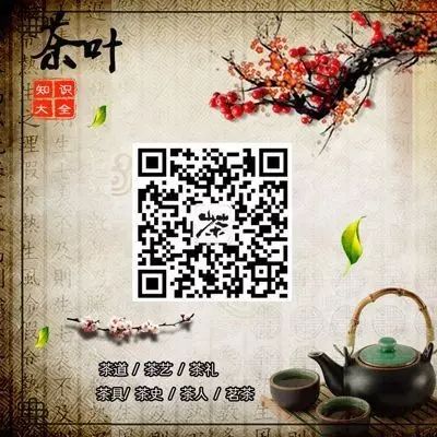 恩施极叶富硒茶