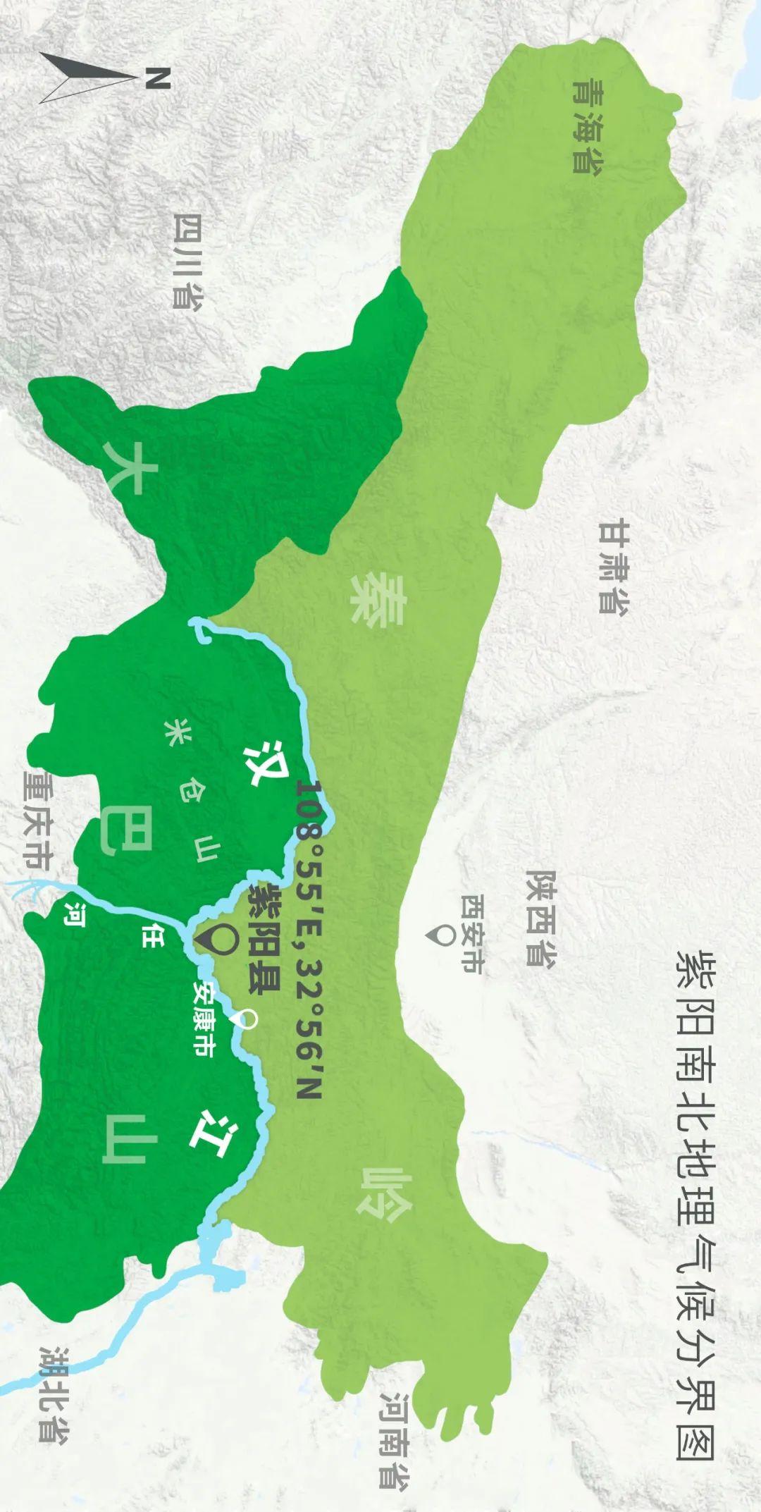 富硒茶蒿坪毛尖