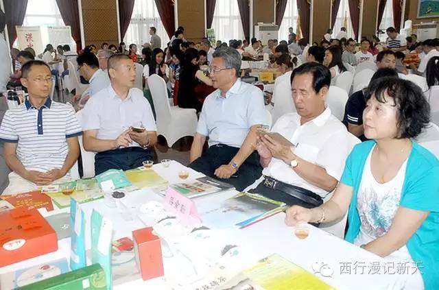 陕西焕古富硒茶