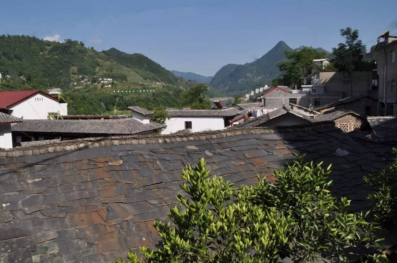 陕西焕古富硒茶