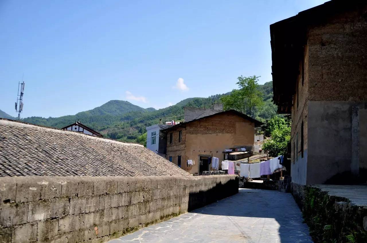 陕西焕古富硒茶