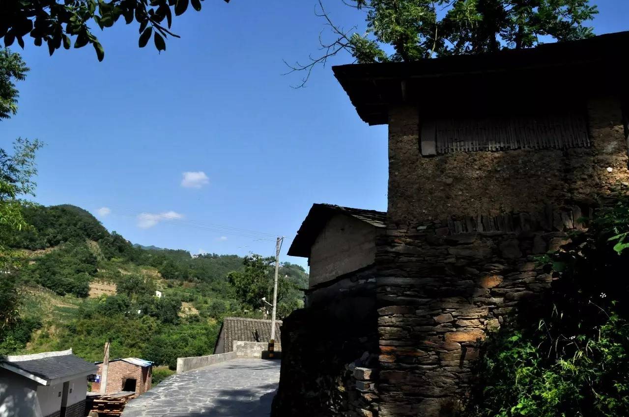 陕西焕古富硒茶