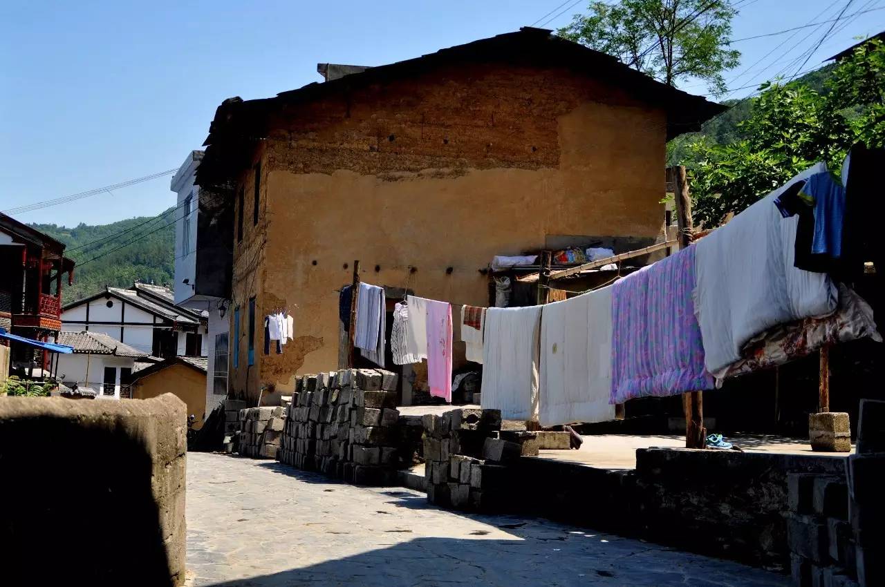 陕西焕古富硒茶