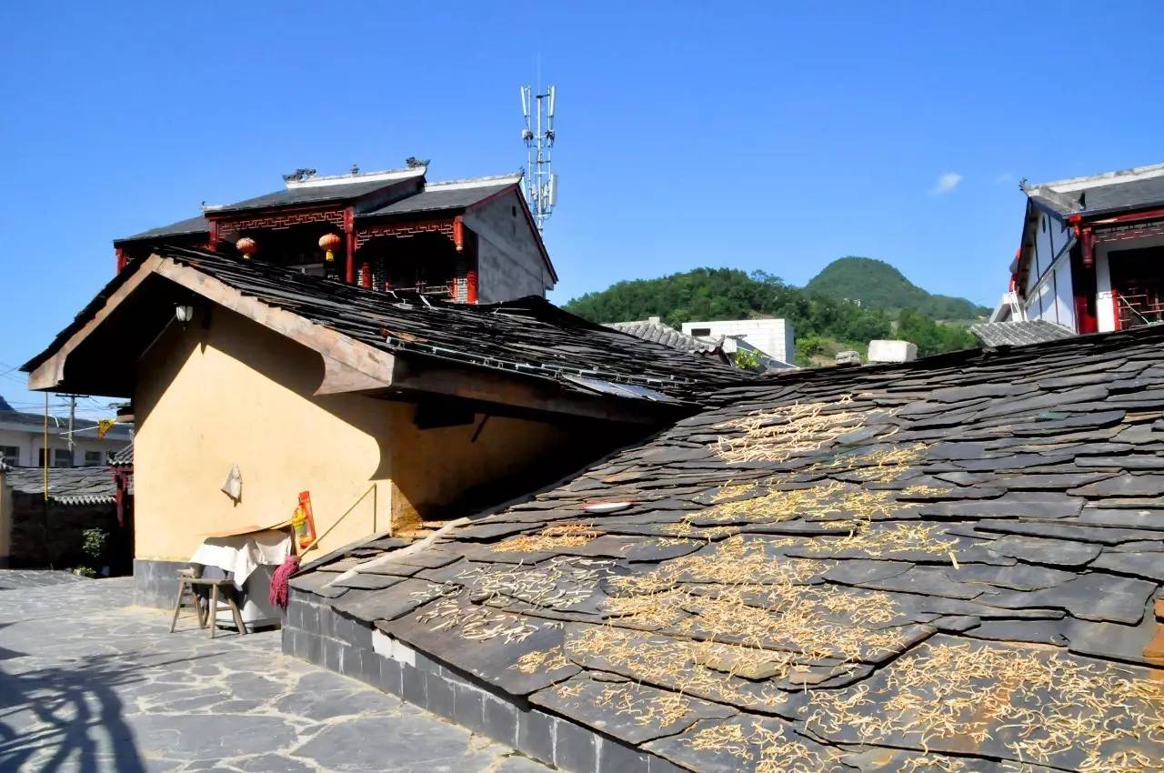 陕西焕古富硒茶