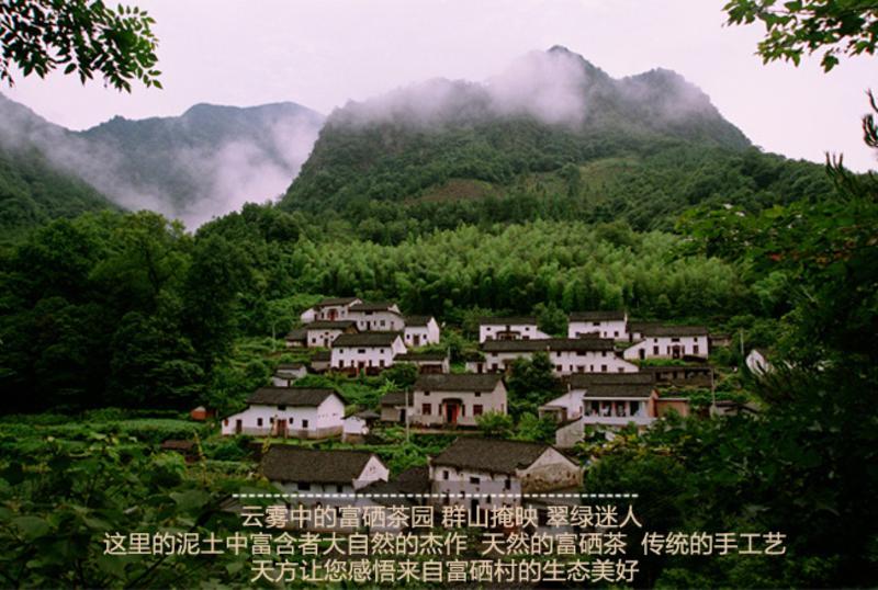 【安徽特产】天方 富硒茶（一级）盒装 280g