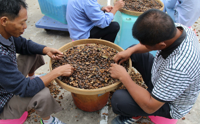 茶籽富硒养生油