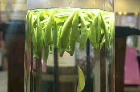 恩施茶叶种类_恩施的茶种类有哪些？